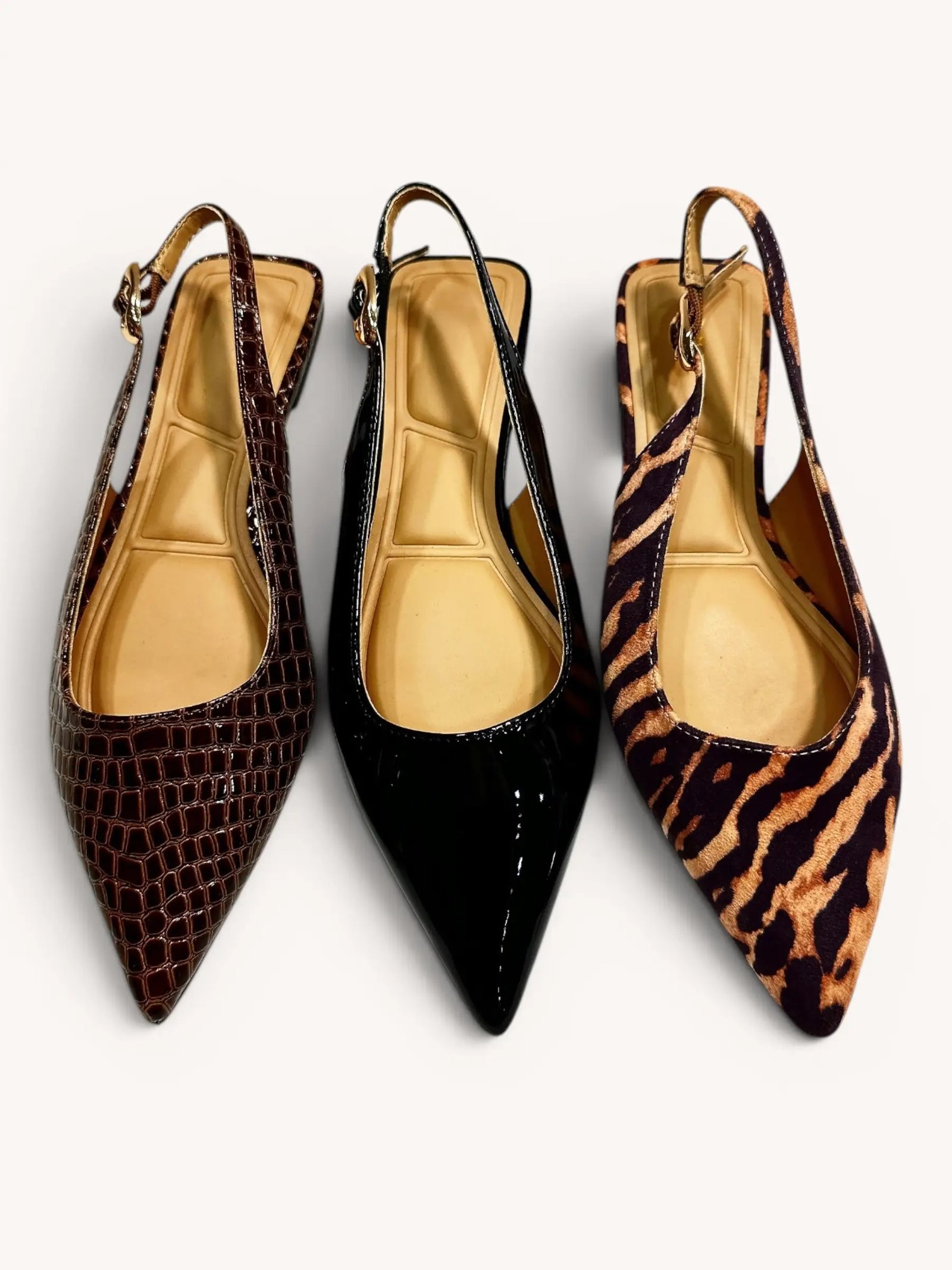 Zapato planos